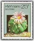 Colnect-1160-345-Flowering-Cactus.jpg