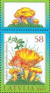 Colnect-192-249-Flora-of-Latvia.jpg