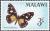 Colnect-3379-786-Butterfly-Amauris-crawshayi.jpg