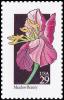 Colnect-5103-780-WildflowersMeadow-Beauty.jpg