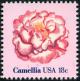 Colnect-4845-859-Flowers-Camellia.jpg