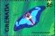 Colnect-5753-159-Butterfly-Prepona-pheridamas.jpg