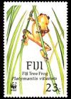 Colnect-1595-853-Fiji-Tree-Frog-Platymantis-vitiensis.jpg