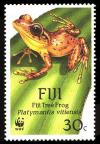 Colnect-1595-854-Fiji-Tree-Frog-Platymantis-vitiensis.jpg