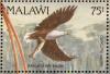 Colnect-1671-854-African-Fish-Eagle.jpg