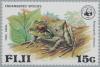 Colnect-2650-406-Fiji-Tree-Frog-Platymantis-vitiensis.jpg