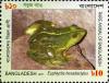 Colnect-5122-347-Indian-Green-Frog-Euphlyctis-hexadactylus-.jpg