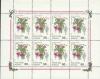 Colnect-190-678-Fuchsia-hybrida.jpg