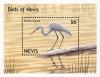 Colnect-1646-410-Birds-of-Nevis-souvenir-sheet.jpg