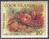 Colnect-1920-375-Spotted-Reef-Crab-Carpilius-maculatus.jpg