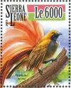 Colnect-3566-033-Goldie-s-Bird-of-paradise---Paradisaea-decora.jpg