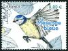 Colnect-5451-436-Birds-of-the-Garden--Blue-Tit.jpg