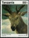 Colnect-6191-225-The-Head-of-the-Stag---by-Velazquez.jpg