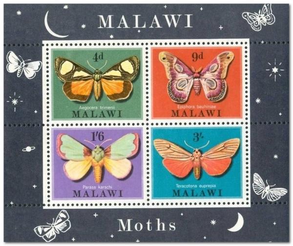 Colnect-1732-175-Moths-of-Malawi---MiNo-134-37.jpg