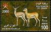 Colnect-1899-668-Arabian-Gazelle-Gazella-arabica.jpg