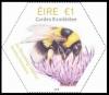 Colnect-5298-725-Garden-Bumblebee.jpg