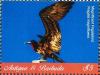 Colnect-6359-399-Magnificent-Frigatebird---Fregata-magnificens.jpg