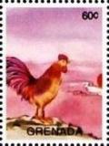 Colnect-5983-349-Rooster-Gallus-gallus-domesticus.jpg