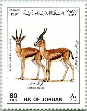 Colnect-4083-514-Arabian-Gazelle-Gazella-arabica.jpg