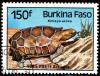 Colnect-1466-138-Forest-Hinged-Tortoise-Kinixys-erosa.jpg