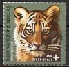 Colnect-1578-438-Siberian-Tiger-Panthera-tigris-altaica.jpg