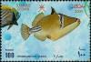 Colnect-1899-662-Picasso-Triggerfish-Rhinecanthus-assasi.jpg