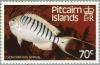 Colnect-2667-780-Pitcairn-Angelfish-Genicanthus-spinus.jpg