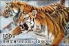 Colnect-5840-445-Siberian-Tiger-Panthera-tigris-altaica.jpg