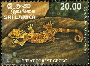 Colnect-2244-852-Great-Forest-Gecko-Cyrotodactylus-frenatus.jpg