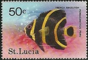Colnect-859-513-French-Angelfish-Pomacanthus-paru.jpg