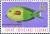 Colnect-2495-767-Orangespot-Surgeonfish-Acanthurus-olivaceus.jpg