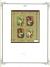 WSA-Chad-Postage-1971-73-8.jpg
