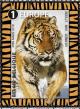 Colnect-3486-744-Siberian-Tiger-Panthera-tigris-altaica.jpg