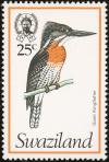 Colnect-1661-879-Giant-Kingfisher-Megaceryle-maxima.jpg