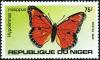 Colnect-997-710-Danaid-Eggfly-Hypolimnas-misippus.jpg