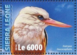 Colnect-3566-089-Grey-headed-Kingfisher---Halcyon-leucocephala.jpg