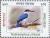 Colnect-4595-158-Collared-Kingfisher-Todiramphus-chloris.jpg