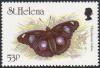 Colnect-2529-885-Great-Eggfly-Hypolimnas-bolina.jpg