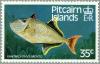 Colnect-2667-778-Redtail-Triggerfish-Xanthichthys-mento.jpg