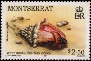 Colnect-2757-359-West-Indian-Fighting-Conch-Strombus-pugilis.jpg