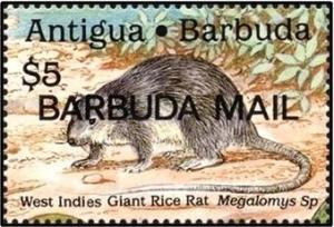 Colnect-2883-993-West-Indies-Giant-Rice-Rat-Megalomys-sp.jpg