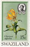 Colnect-1774-742-Gloriosa-Superba.jpg