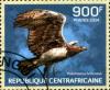 Colnect-3061-718-Martial-Eagle-Polemaetus-bellicosus.jpg
