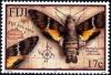 Colnect-3453-710-Moth-Macroglossum-hirundo-vitiensis-.jpg