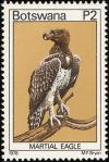 Colnect-597-733-Martial-Eagle-Polemaetus-bellicosus.jpg