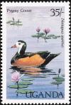 Colnect-1712-380-African-Pygmy-goose-Nettapus-auritus.jpg