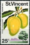 Colnect-3050-278-Mango-Mangifera-indica.jpg