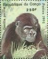 Colnect-5772-019-Gorilla-gorilla.jpg