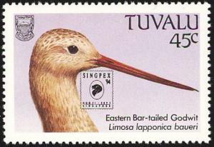 Colnect-1767-990-Bar-tailed-Godwit%C2%A0Limosa-lapponica%C2%A0-.jpg