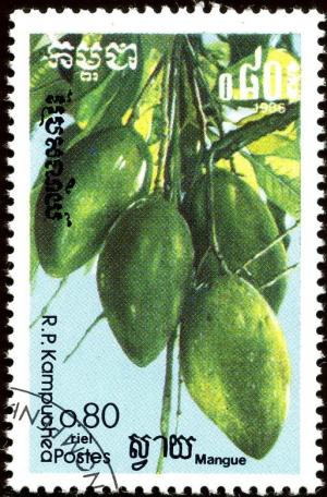 Colnect-1854-622-Mango-Mangifera-indica.jpg
